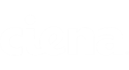 Fannie Mae Icon
