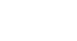Fannie Mae Icon